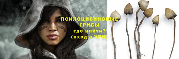 ALPHA PVP Аркадак