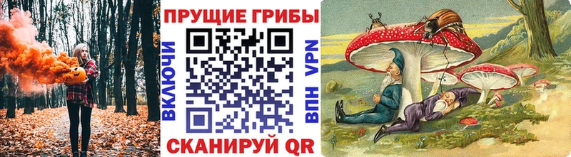 Псилоцибиновые грибы Psilocybe  дарнет шоп  Старица 